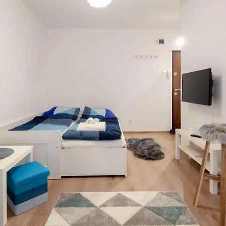 קלוז'-נאפוקה International Aparthotel - Free Parking מראה חיצוני תמונה